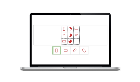 Voorbeeld_Intelligentietest