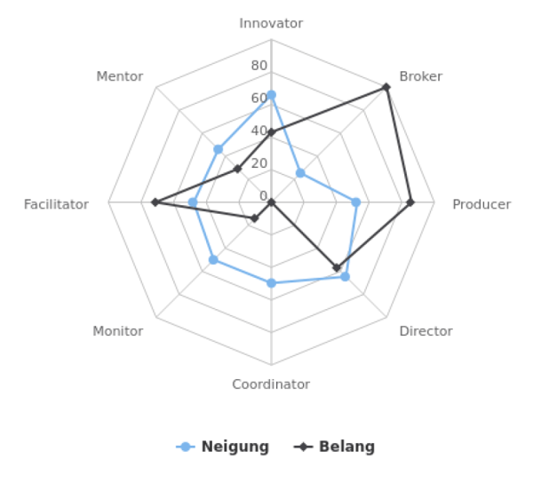 Quinn_Managementrollen_Grafik_Auswertung