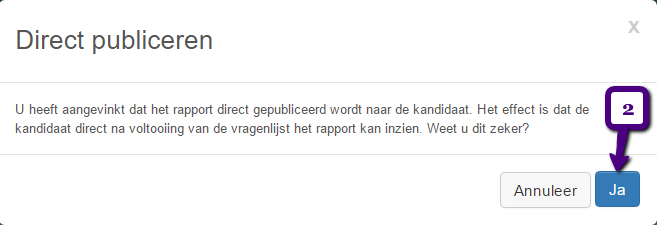 Rapport_direct_publiceren_2